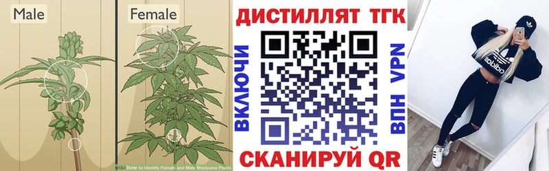 Дистиллят ТГК концентрат  Кувшиново 