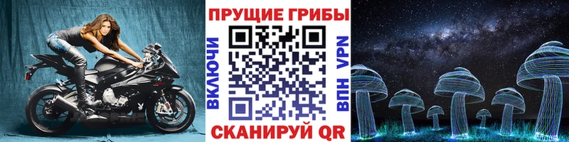 OMG tor Кувшиново Псилоцибиновые грибы Psilocybe