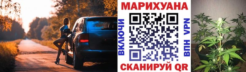 Канабис планчик Кувшиново